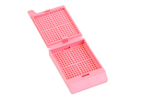 pink biopsy cassette with hinged lid