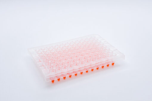 ClearASeal Pierce (for Abi 3730)