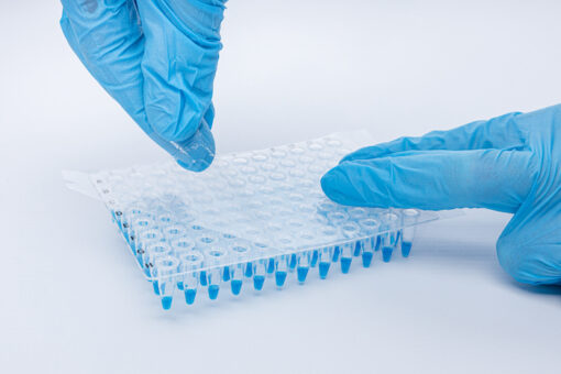 QuickSeal DMSO X Film - Image 3