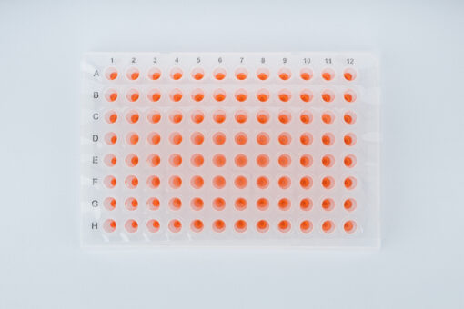 ClearASeal Pierce (for Abi 3730) - Image 4