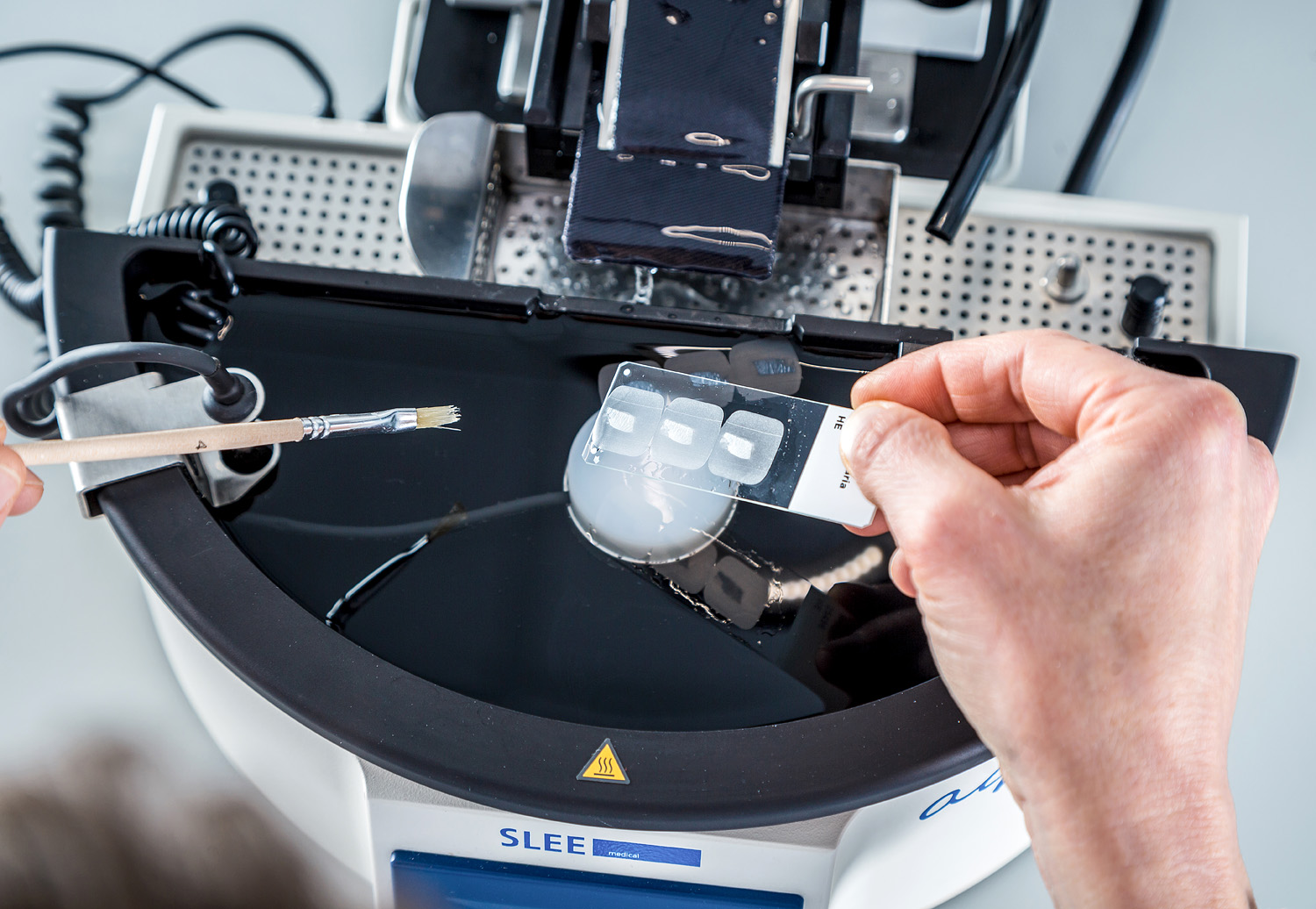 How Do Adhesion Slides Work? – Solmedia