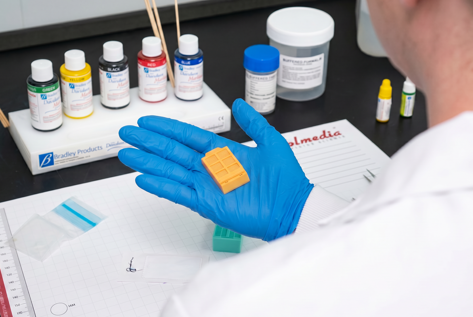 Multi-Compartment Cassettes: A GI Histology Evaluation – Time and Cost ...